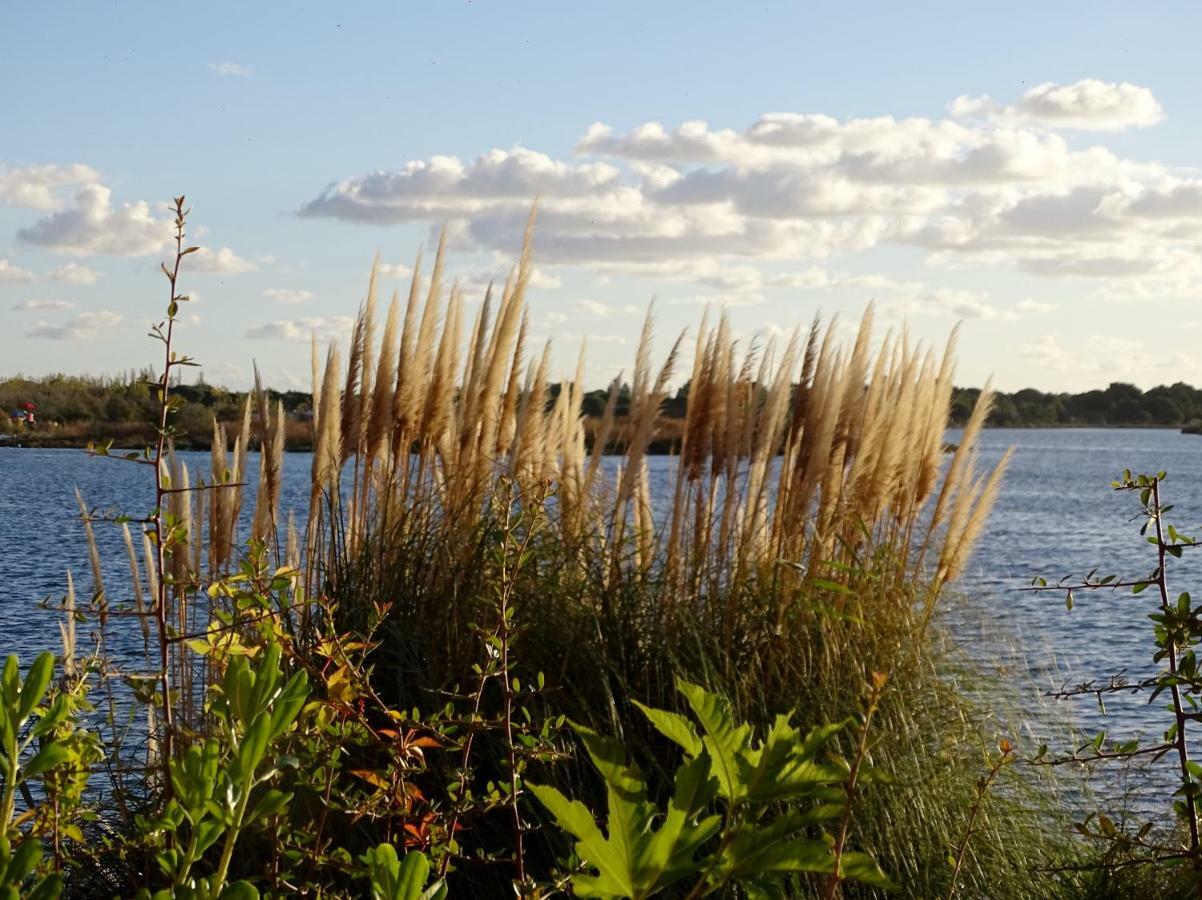 Les Rives Du Lac Le Grau-du-Roi Exteriér fotografie